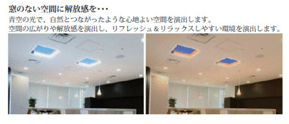 ＣＯＣＯＬＡ　ＡＶＥＮＵＥ