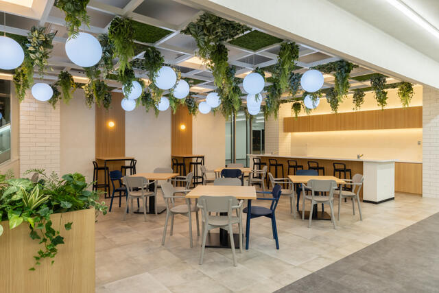 ＣＯＣＯＬＡ　ＡＶＥＮＵＥ