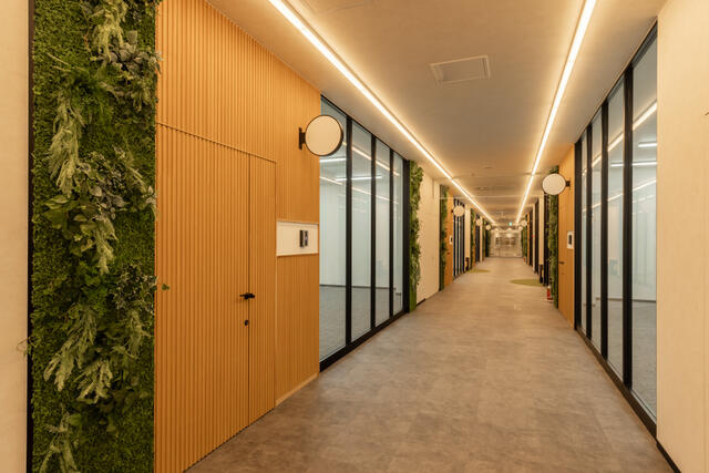 ＣＯＣＯＬＡ　ＡＶＥＮＵＥ