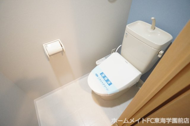 ニューガイアリルーム新大江№69のトイレ