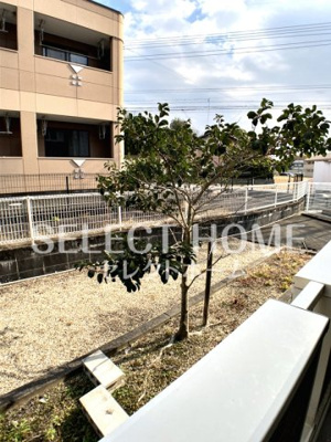 【展望】 | ボーシャルダンＣ