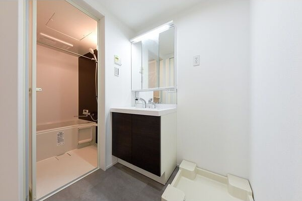 Jack nakaotaiⅠの洗面所