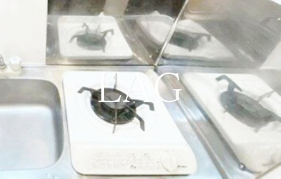 【設備】 | グリーンハイツ　上尾 | コンロです。