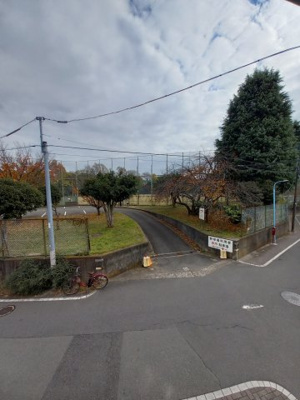 【展望】 | Lea.Lea.LionⅡ