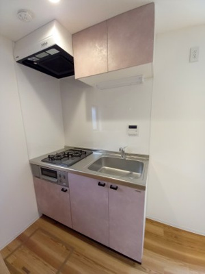 【キッチン】 | Lea.Lea.LionⅡ | 2口ガスコンロのシステムキッチン、グリル機能