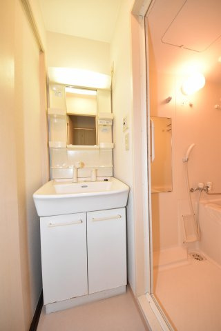 ゼフェロス南堀江の洗面所