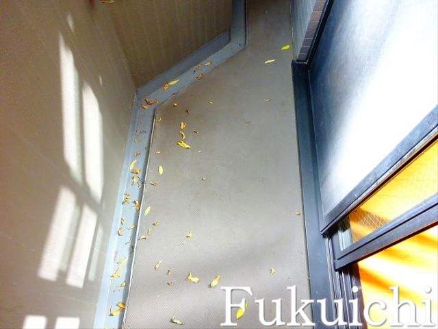 ルーブル祐天寺のバルコニー