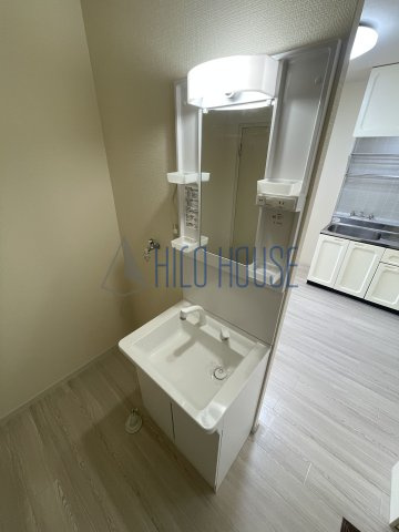 メゾンパストラルⅠの洗面所