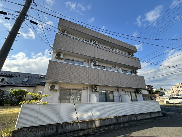 エバーグリーン