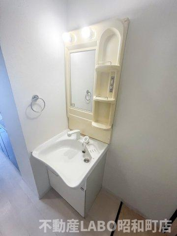 グランパシフィック鶴橋の洗面所