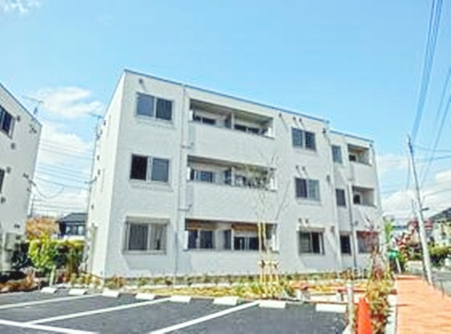 ラシーネ扇　サクラ