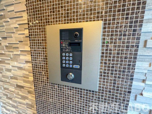 カウニス　ルーチェのその他