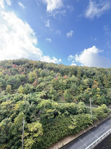 ルネ神戸北町Ⅱサウスコート2番館の展望|バルコニーから四季折々の景色を嗜める西脇山が望めます