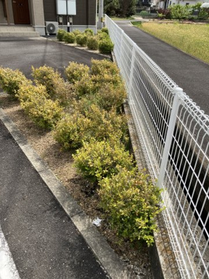 【その他】 | テン・リバーC