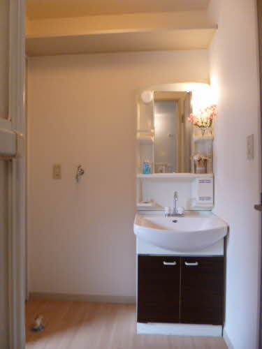 ファミール・ビレジ B棟の洗面所