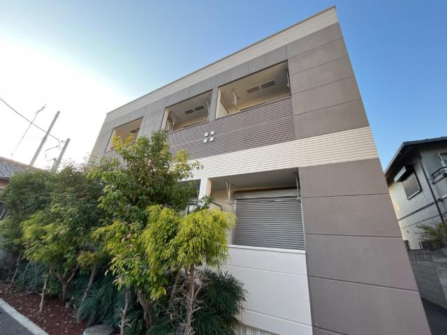 Ｂａｎｄｅｒｕｏｌａ