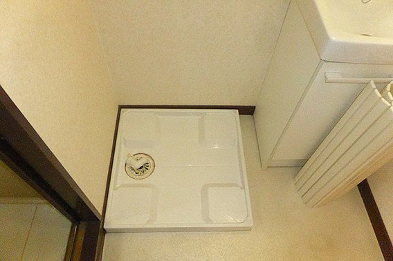 ダイナスティ品川の洗面所