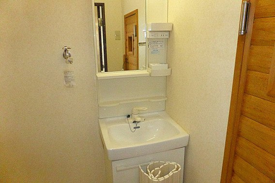 ダイナスティ品川の洗面所