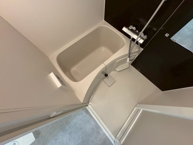 S-RESIDENCE本中山aloriaの浴室