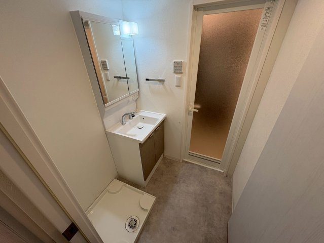 S-RESIDENCE本中山aloriaの洗面所