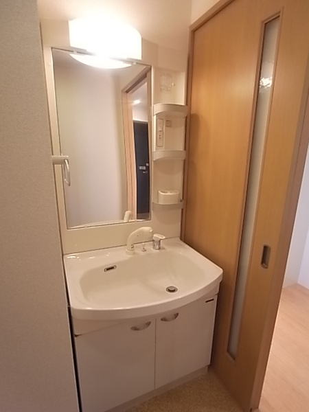 パレス東洋神戸5号館の洗面所