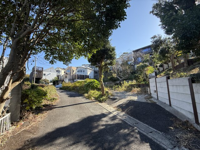 海見え！敷地より海を臨む　自然溢れる住環境の前面道路含む現地写真|前面道路