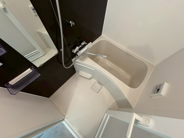 S-RESIDENCE本中山aloriaの浴室