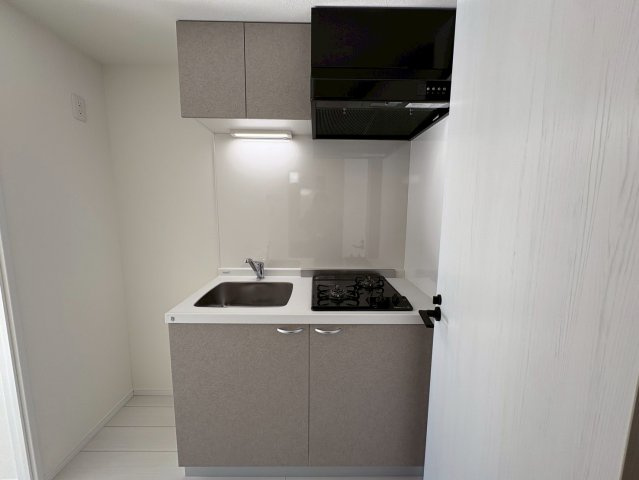 S-RESIDENCE本中山aloriaのキッチン