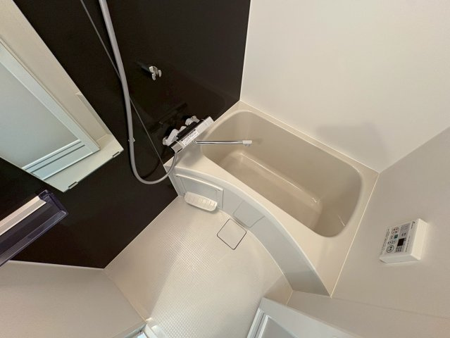 S-RESIDENCE本中山aloriaの浴室