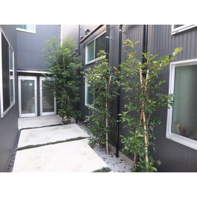 グランエッグス桜新町Sのエントランス|エントランス