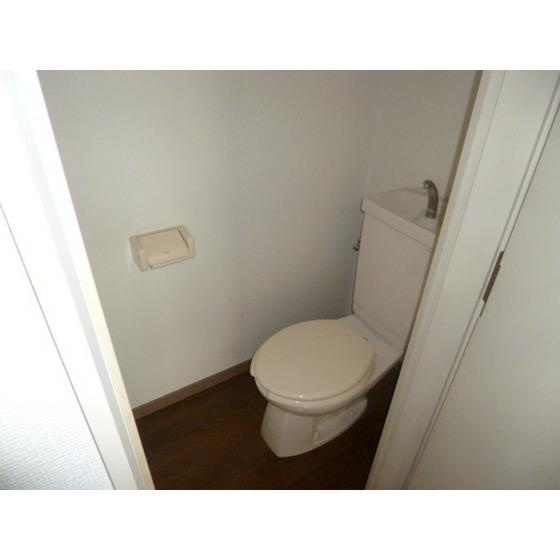 シェンブルグのトイレ|落ち着いた色調のトイレです