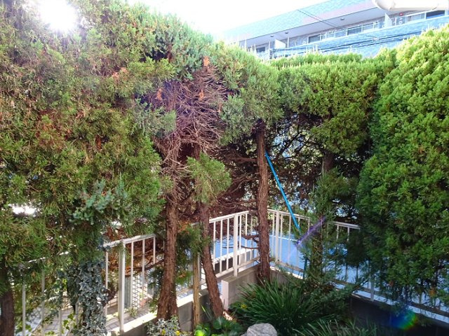 センチュリー浜田山のその他