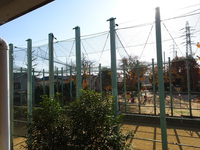 パークサイド波良の展望