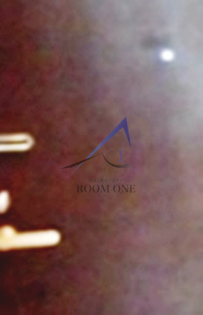 ペレテ雪谷のセキュリティ|内鍵です。