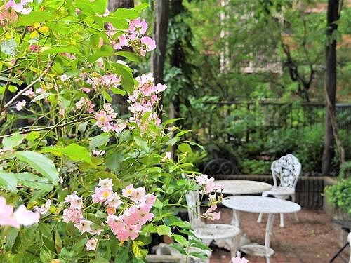 ライオンズマンション八事ガーデン壱番館のその他|中庭