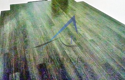 ｂ’ＣＡＳＡ綾瀬