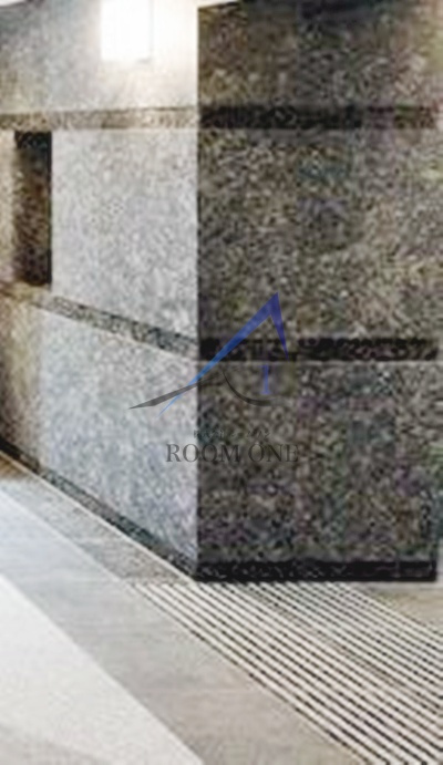 ルーブル志村坂上