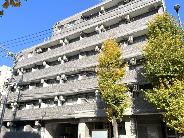 スカイコート文京白山の画像