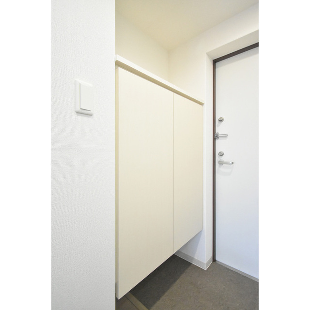 AFFLUENCE難波の玄関|収納もある玄関です