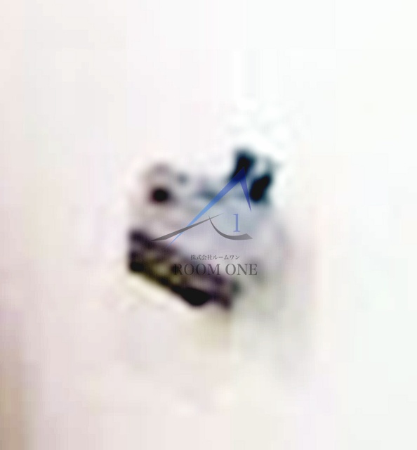 メインステージ錦糸町Ⅱ