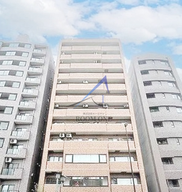 ライオンズステーションプラザ大島の外観