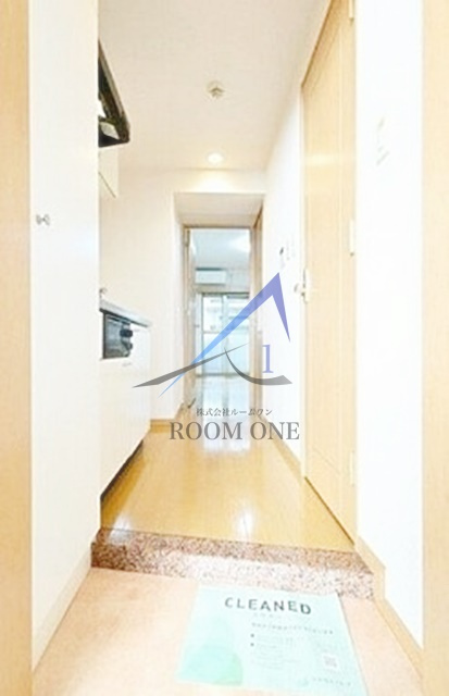 スカイコート門前仲町の玄関|玄関です。