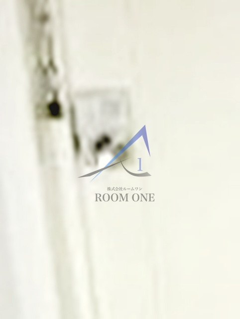 ハイシティ代々木公園			の内装