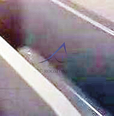 菱和パレス立教通り