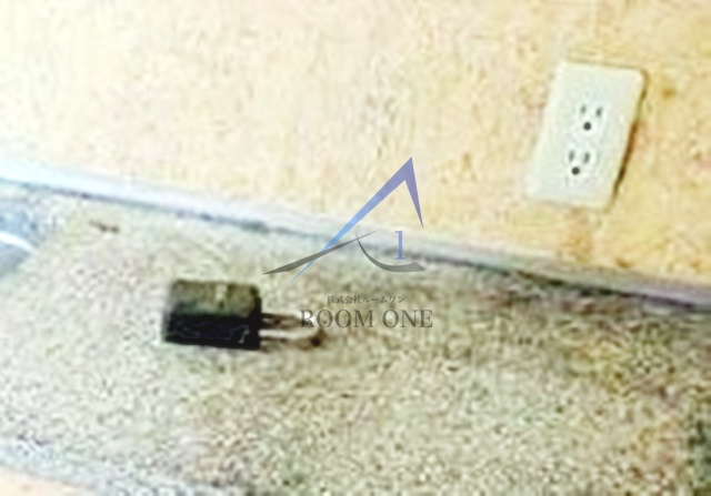 プラットハセガワ