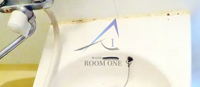 プラットハセガワ