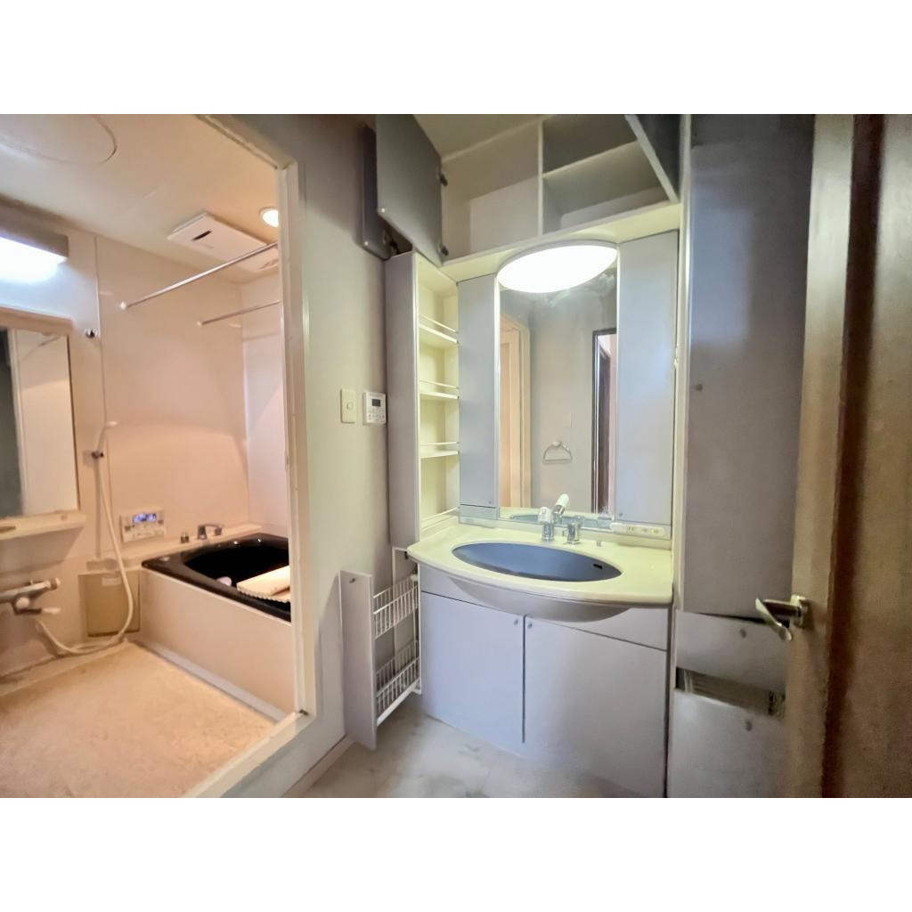 ヒルズ春山の洗面所