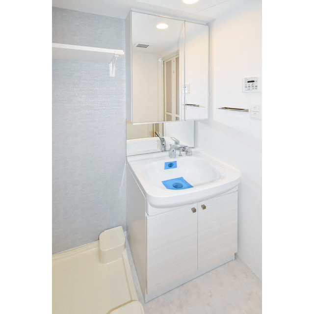 エスリード新栄マルスの洗面所