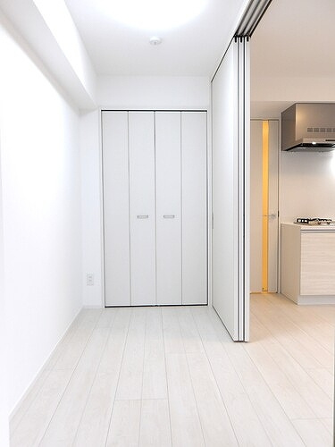 プレセダン板橋本町の収納|クロゼット※同タイプ別部屋2025.11新築未入居時撮影