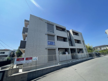 グリーンミント１の画像